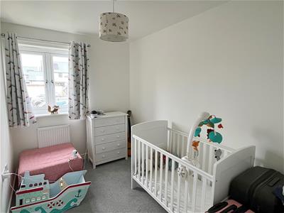 Picture 11